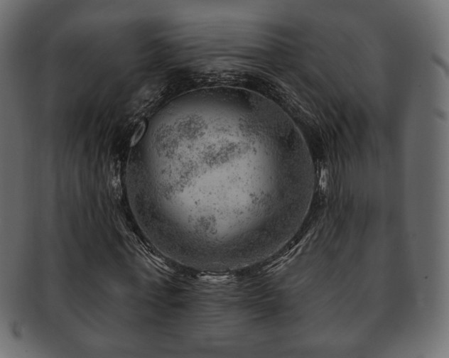 X0000093210771200709261555