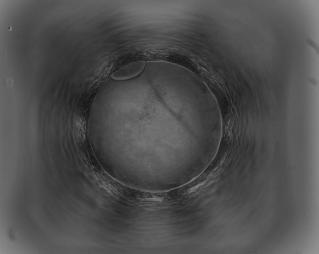X0000093210772200709261555