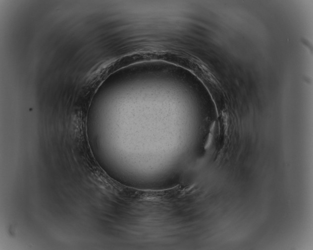 X0000093210773200709261555