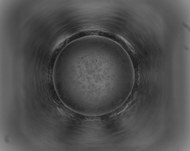 X0000093210775200709261555