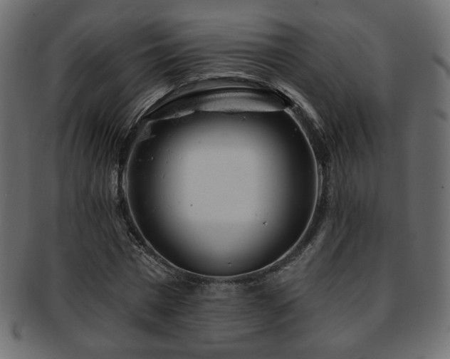 X0000093210777200709261555