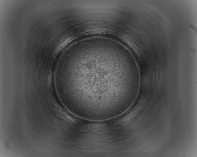 X0000093210778200709261555