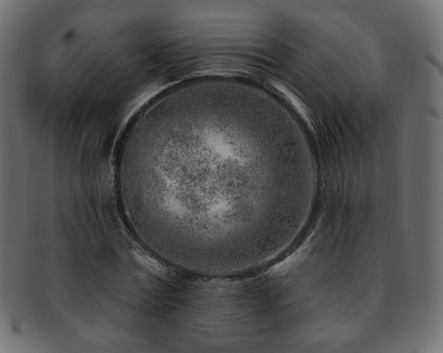 X0000093210779200709261555