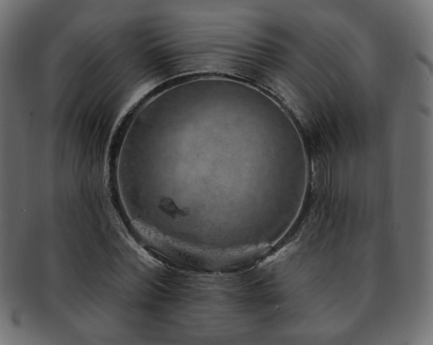X0000093210780200709261555