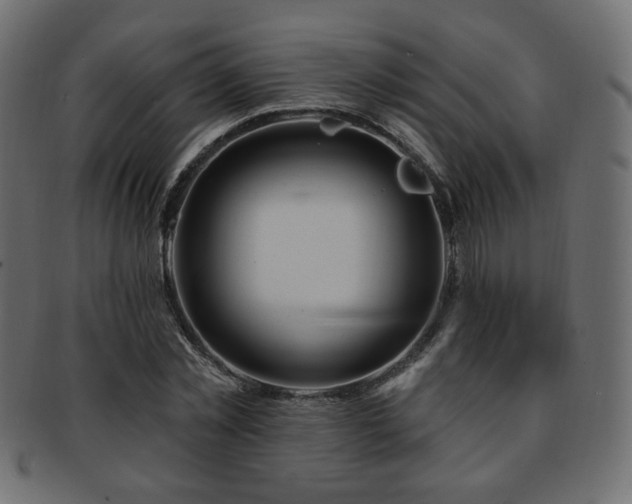 X0000093210781200709261555