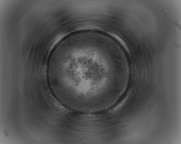 X0000093210783200709261555