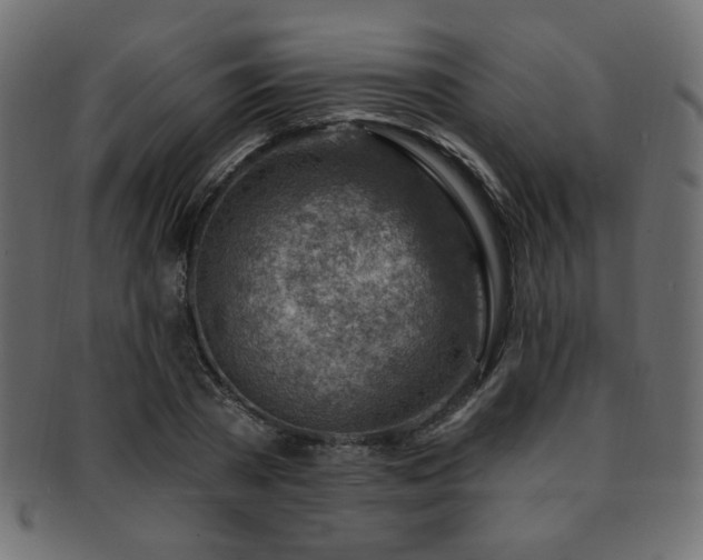 X0000093210785200709261555