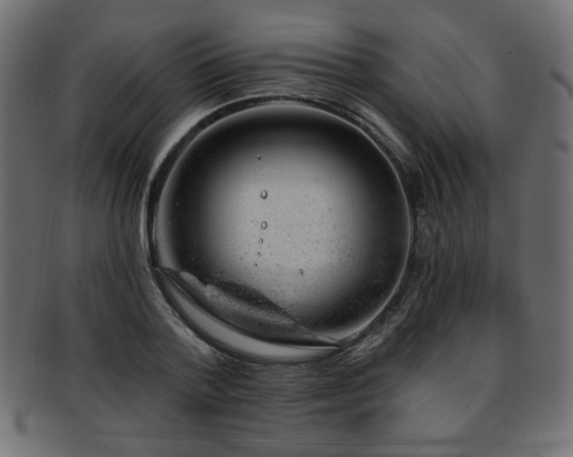 X0000093210788200709261555