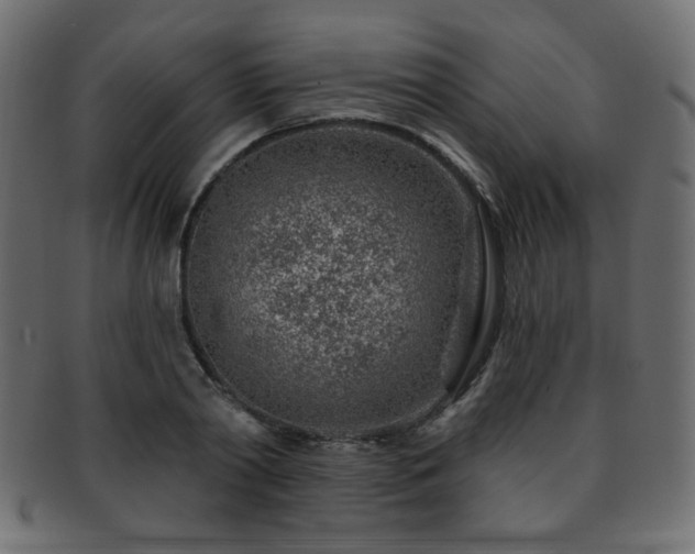 X0000093210790200709261555