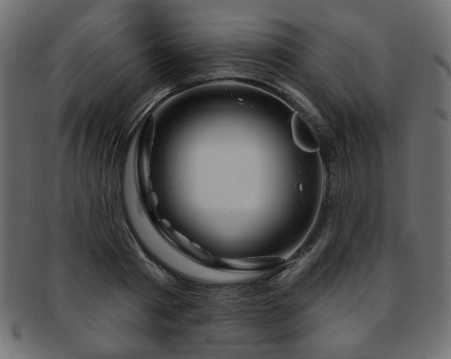 X0000093210793200709261555
