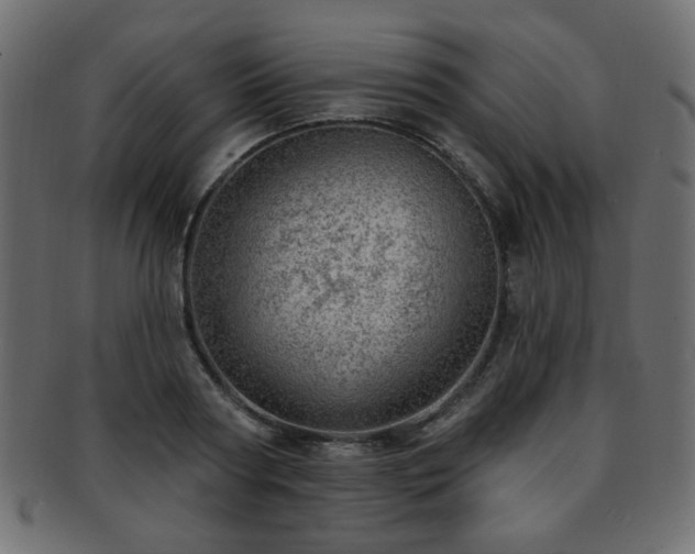 X0000093210794200709261555