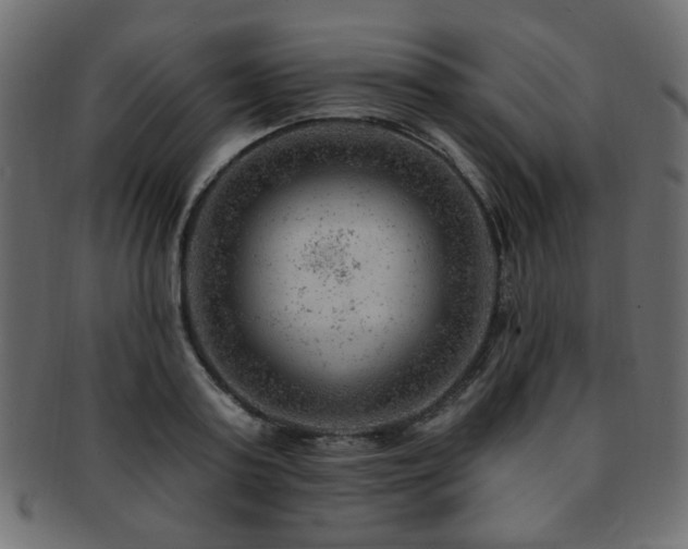 X0000093210795200709261555
