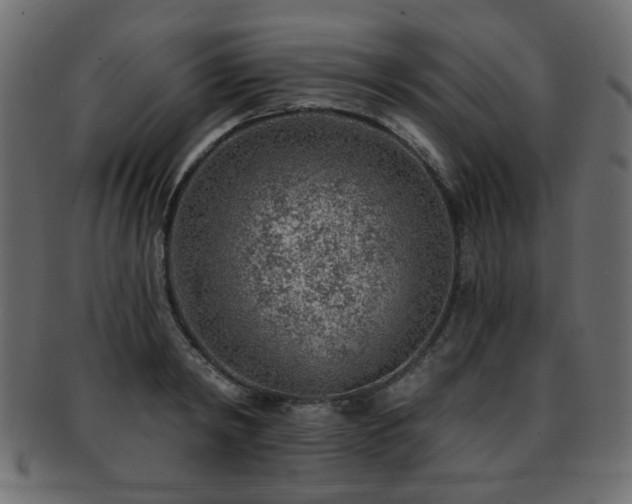 X0000093210798200709261555