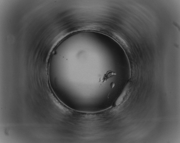 X0000093210800200709261555