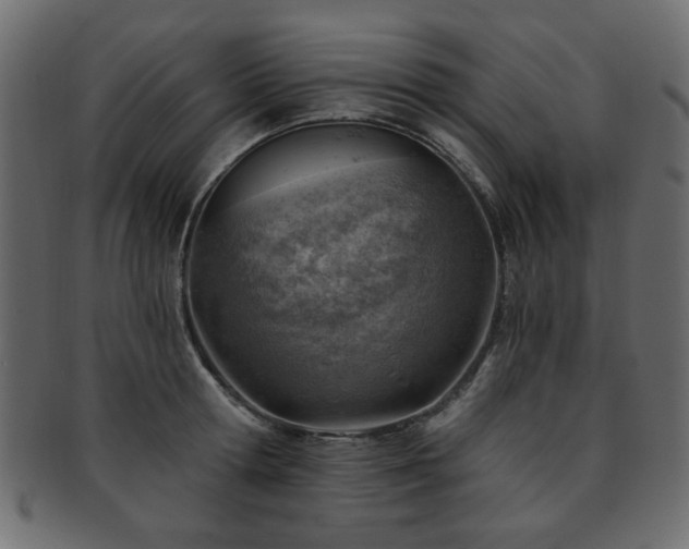 X0000093210802200709261555