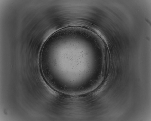 X0000093210803200709261555