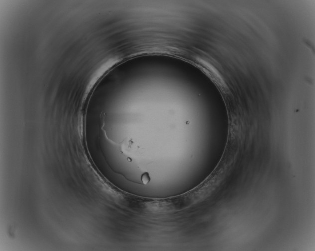 X0000093210804200709261555