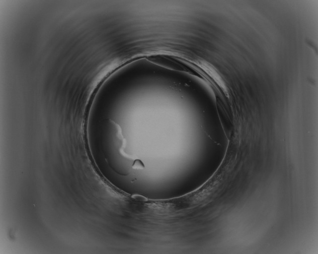 X0000093210805200709261555