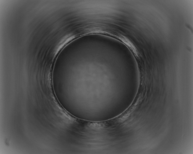 X0000093210806200709261555