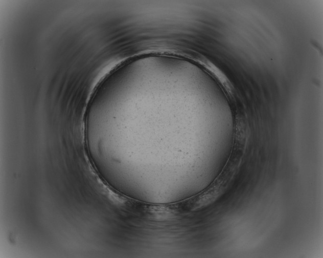 X0000093210807200709261555