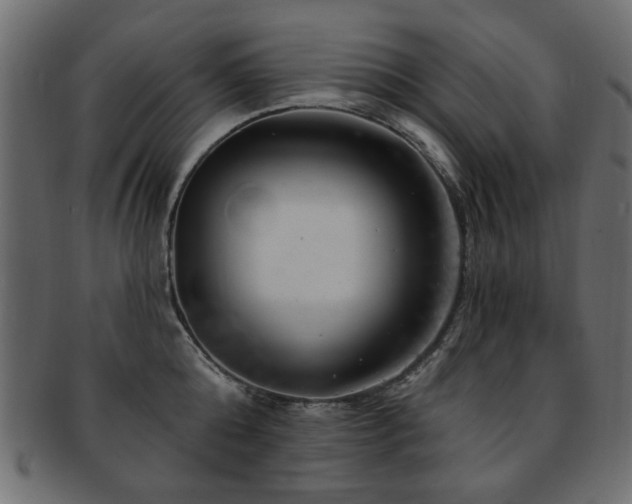 X0000093210808200709261555