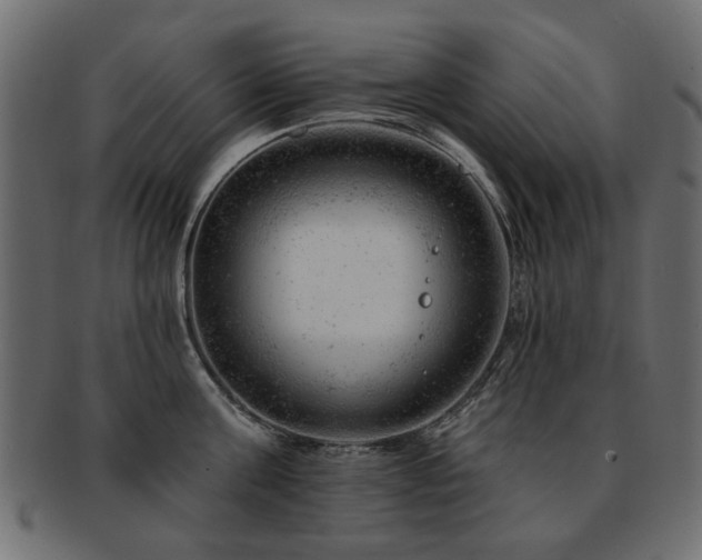 X0000093210811200709261555