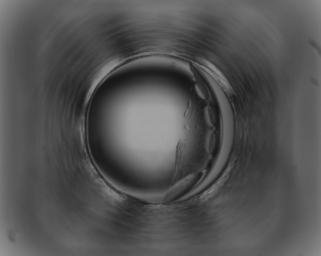 X0000093210812200709261555