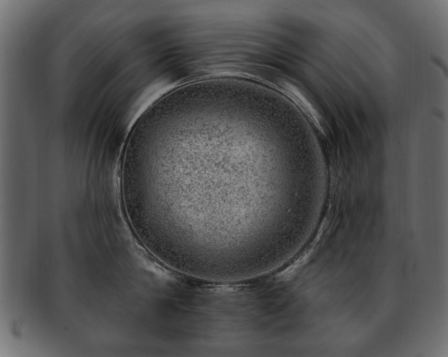 X0000093210814200709261555