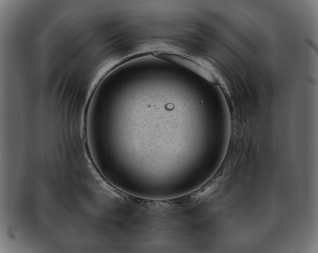 X0000093210815200709261555