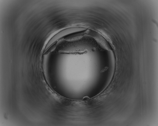 X0000093210816200709261555