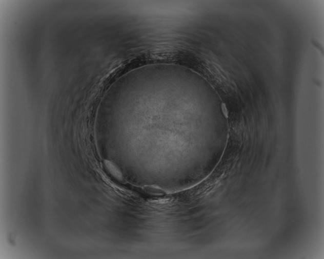 X0000093210817200709261554
