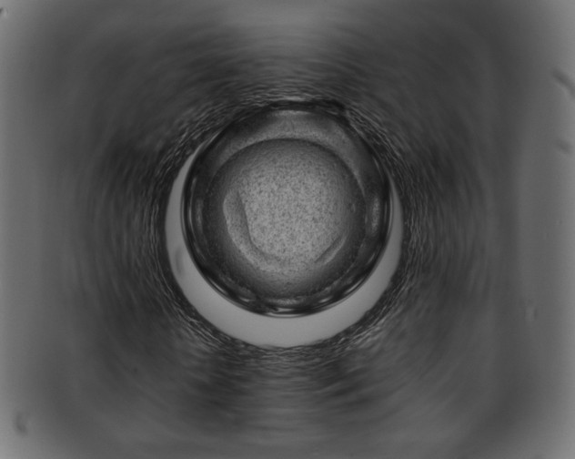 X0000093210818200709261554