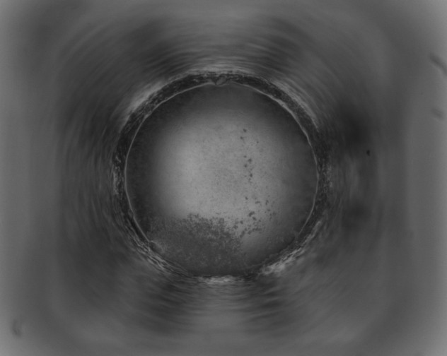 X0000093210823200709261554