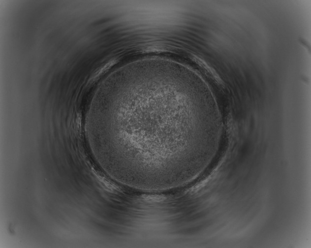X0000093210825200709261554