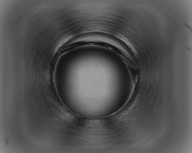 X0000093210826200709261554