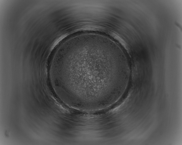 X0000093210829200709261554
