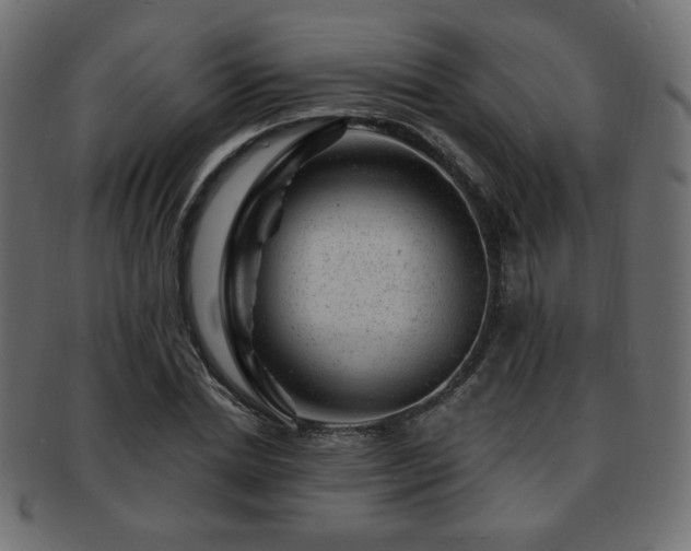 X0000093210830200709261554