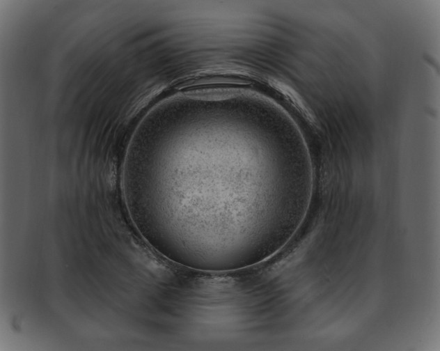 X0000093210833200709261554