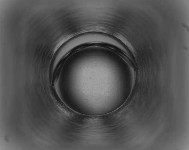X0000093210834200709261554