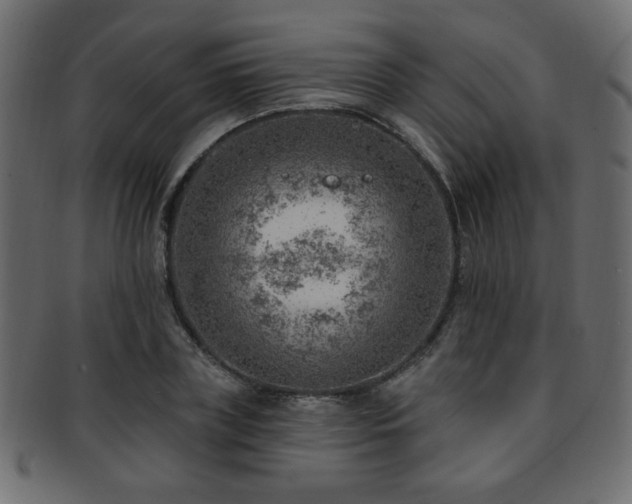 X0000093210835200709261554