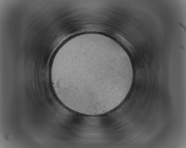 X0000093210836200709261554