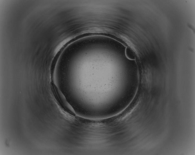 X0000093210837200709261555