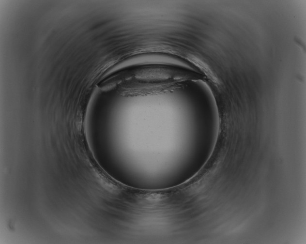 X0000093210841200709261555
