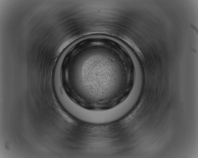 X0000093210842200709261555