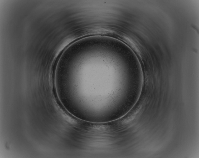 X0000093210843200709261555