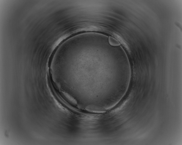 X0000093210845200709261555