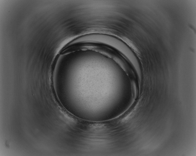 X0000093210846200709261555