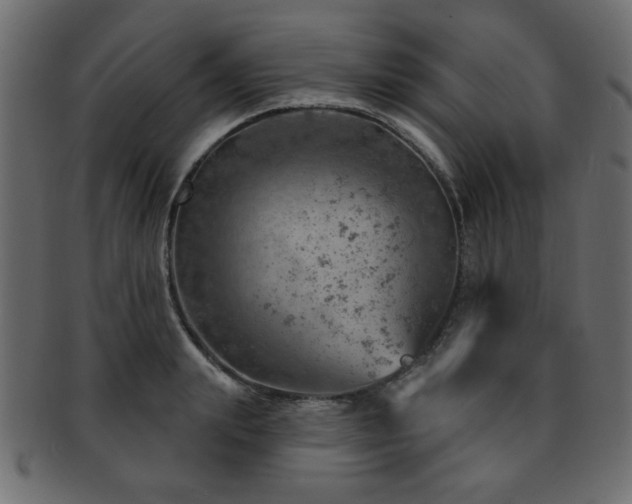 X0000093210847200709261555