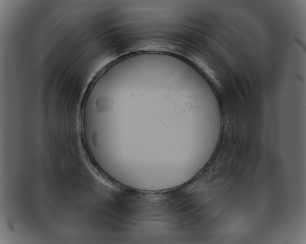 X0000093210848200709261555