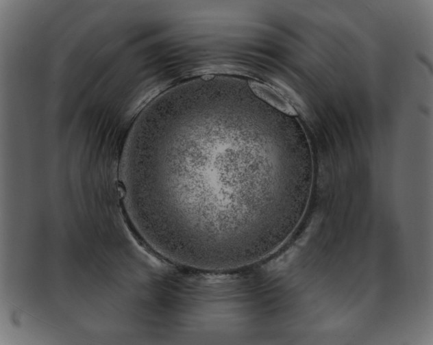 X0000093210849200709261555